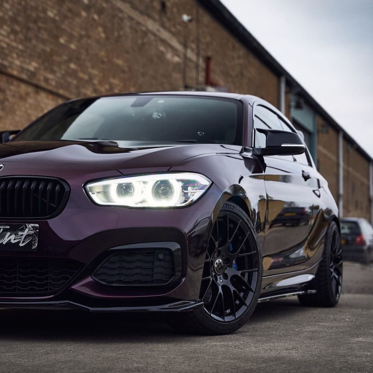 Burgundy Black (HM10-HD)
