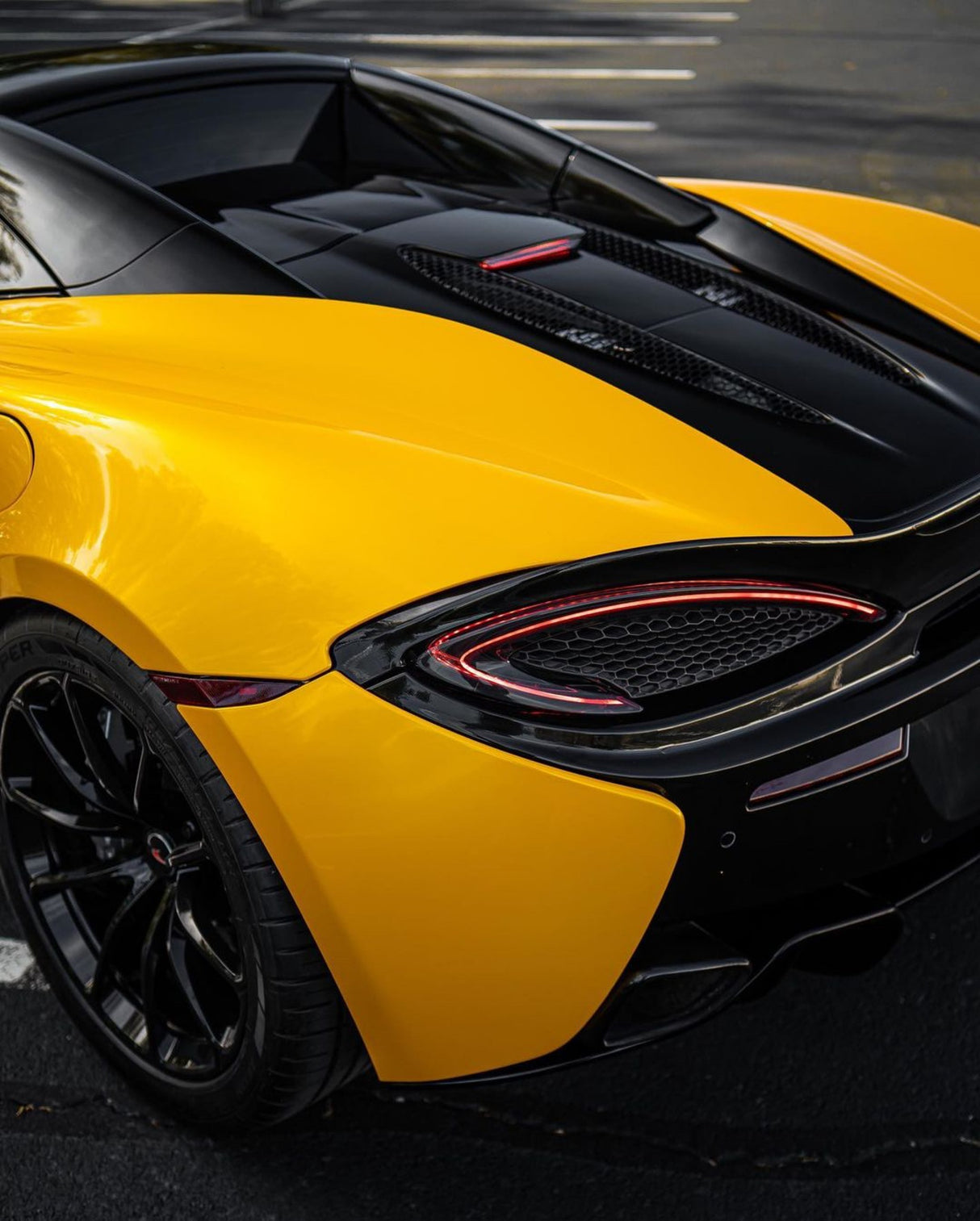 Sunflower Yellow (CG12-HD)