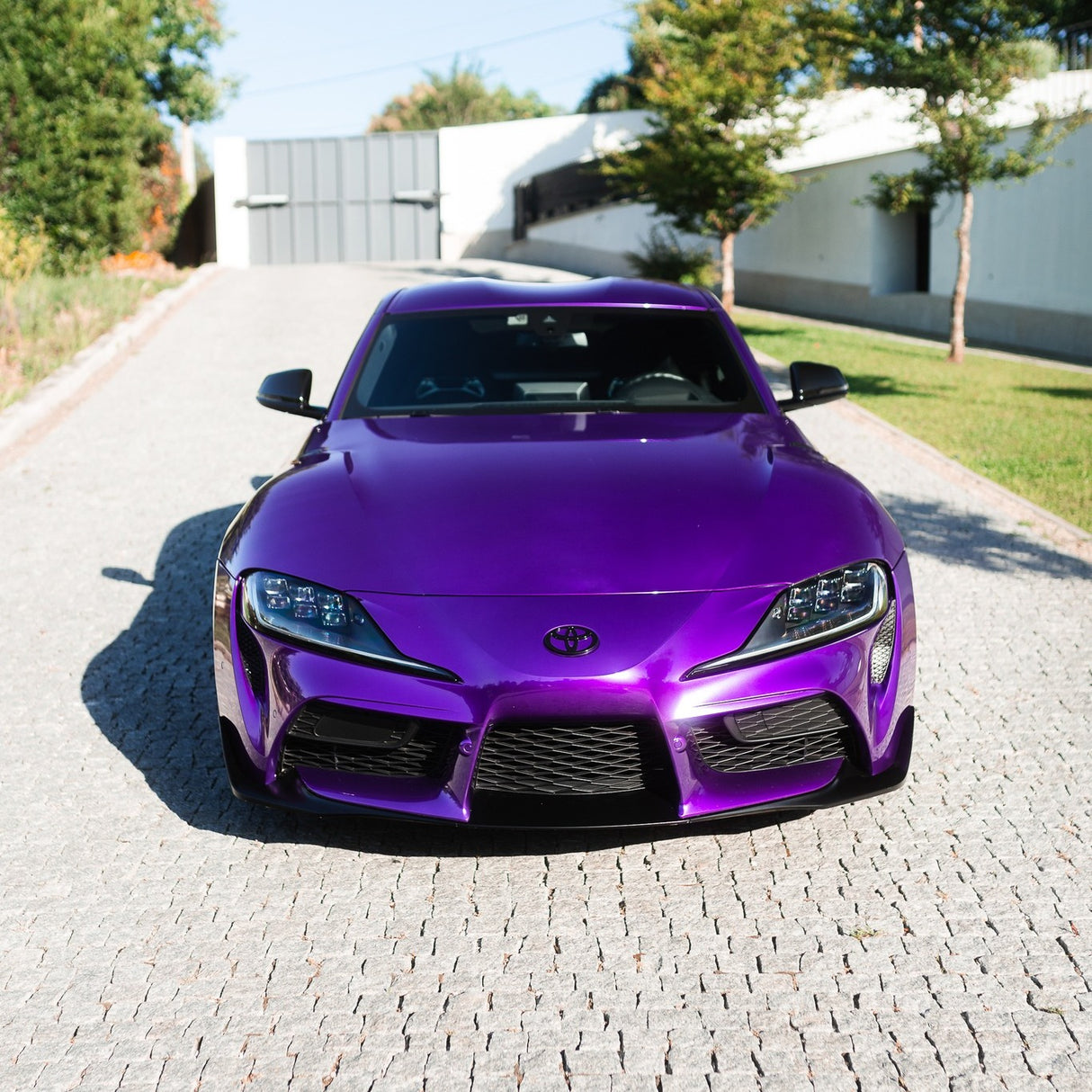 Candy Purple (GAL03-HD)