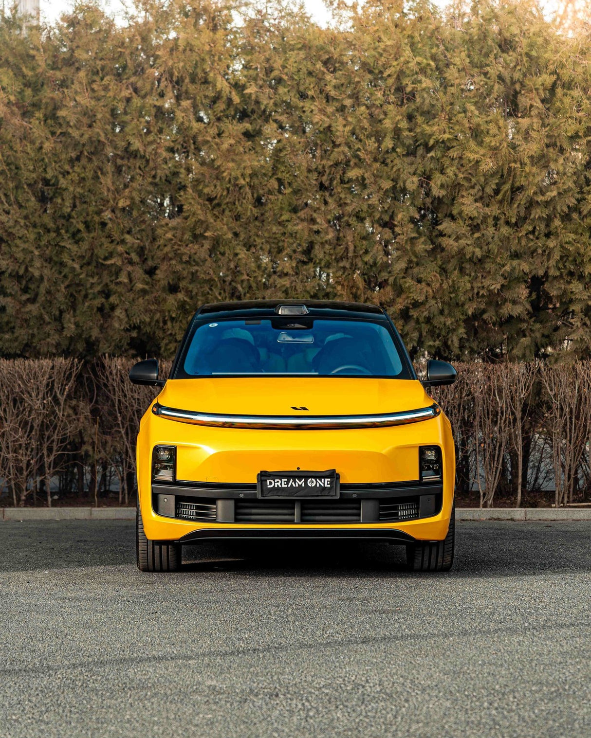 Hornet Yellow (ECH16)