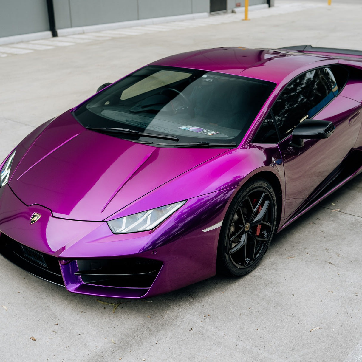 Passionate Purple (RB04-HD)