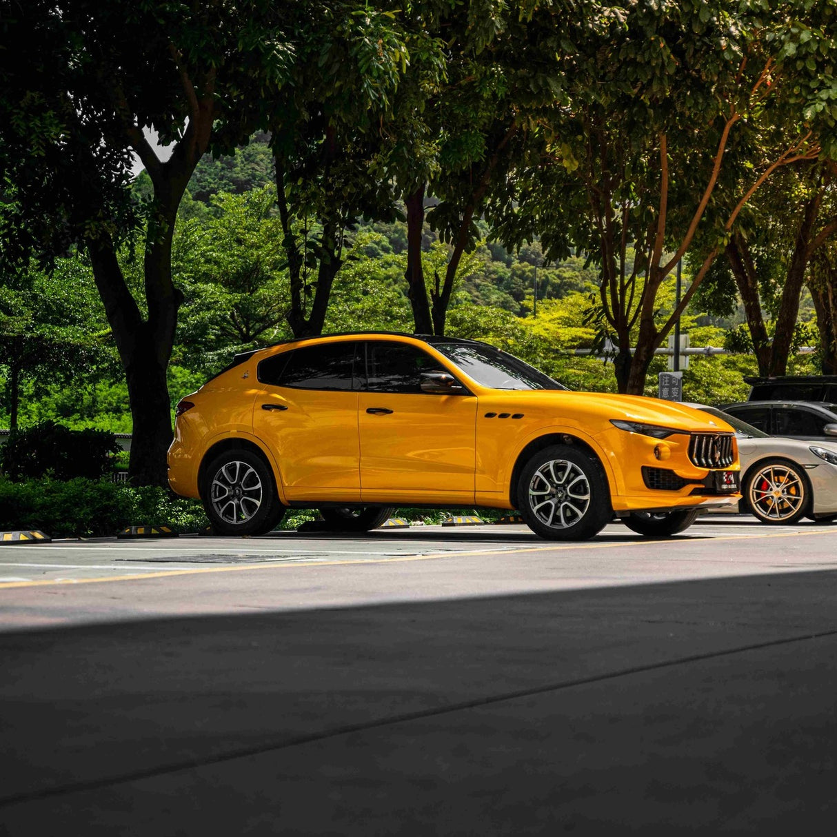 Golden Yellow (RB25-HD)