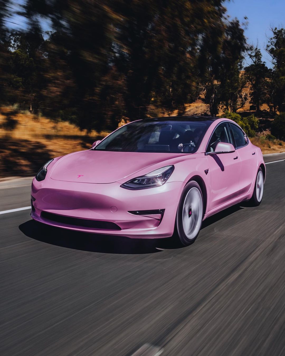 Pink Sakura (SL01-HD)