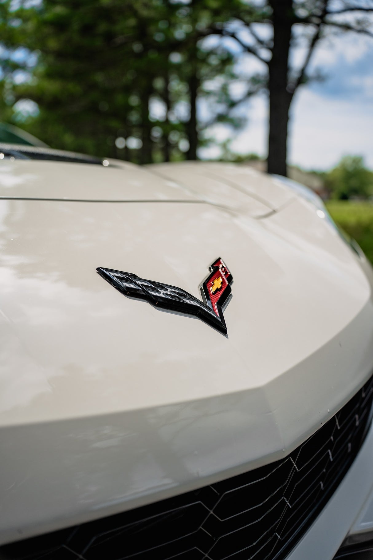 Slate Grey (CG16-HD)