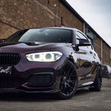 Burgundy Black (HM10-HD)