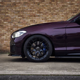 Burgundy Black (HM10-HD)