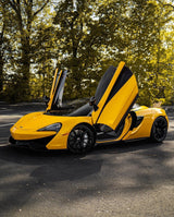 Sunflower Yellow (CG12-HD)