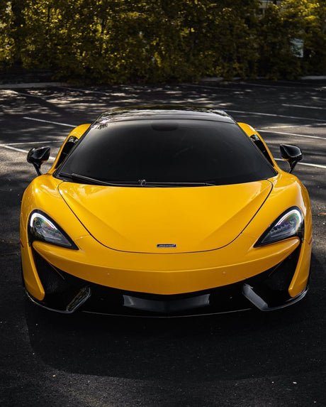 Sunflower Yellow (CG12-HD)