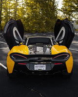 Sunflower Yellow (CG12-HD)