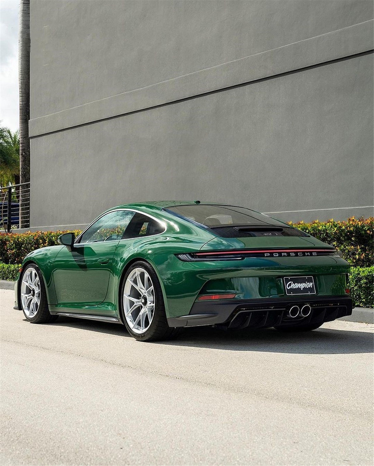 Amphibian Green (CG32-HD)