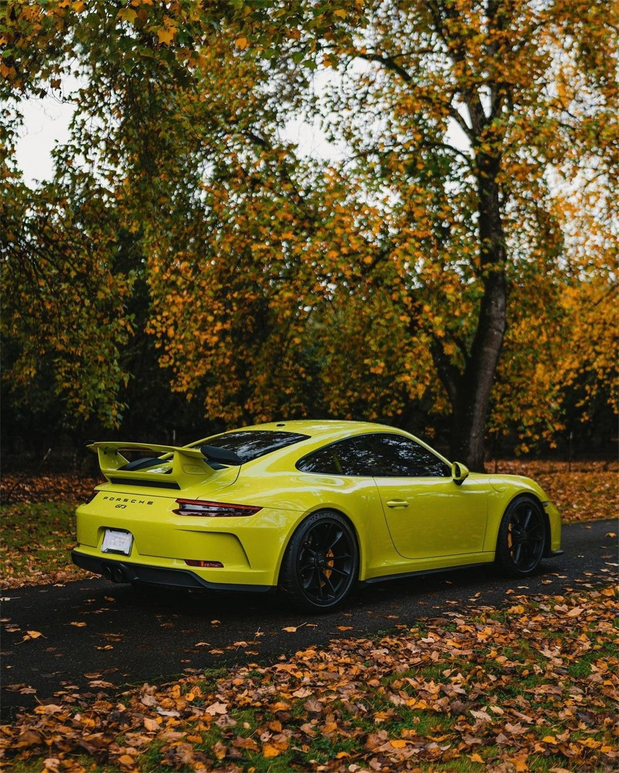 Grape Green (CG42-HD)