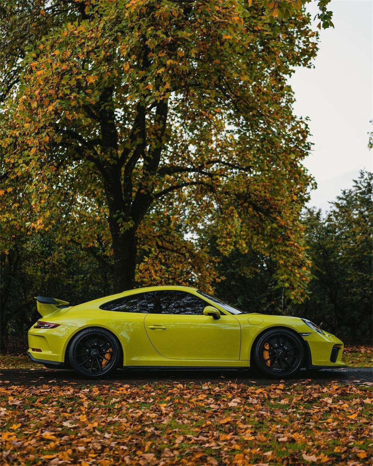 Grape Green (CG42-HD)