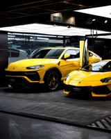 Sunray Yellow (CG44-HD)