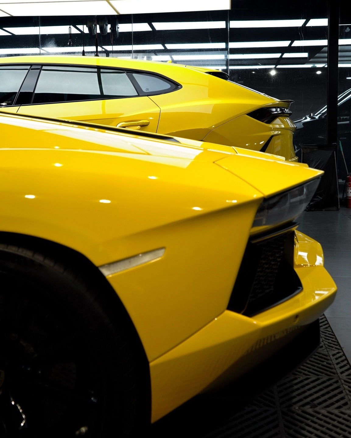 Sunray Yellow (CG44-HD)