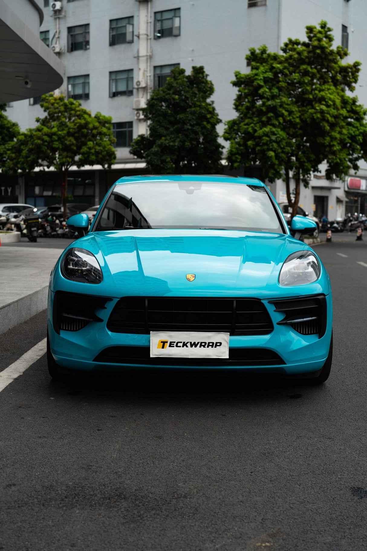 Tempo Teal Gloss Color PPF | Car Paint Protection Film (CPX306)