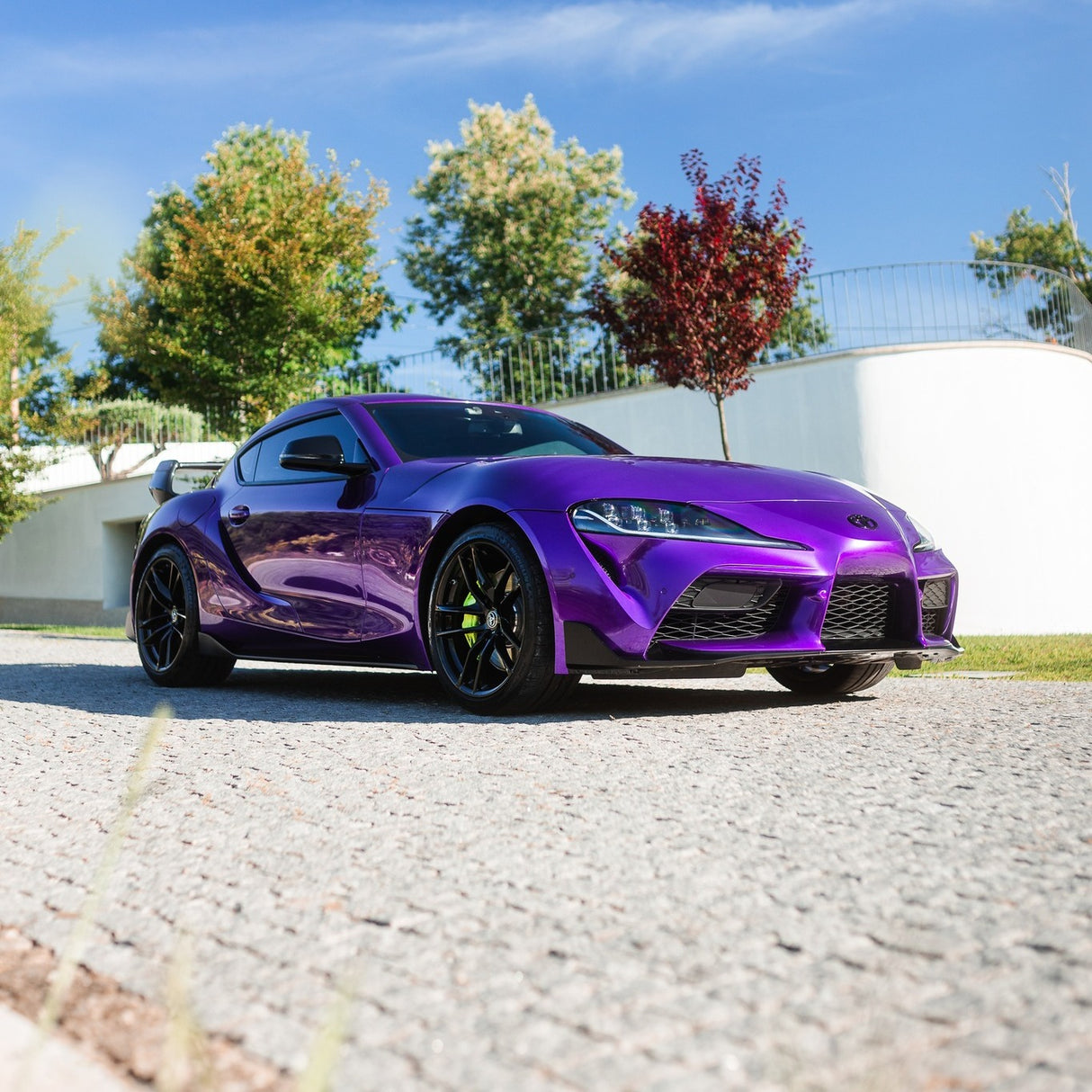 Candy Purple (GAL03-HD)