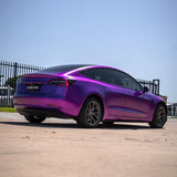 Concord Grape (VCH403-S)