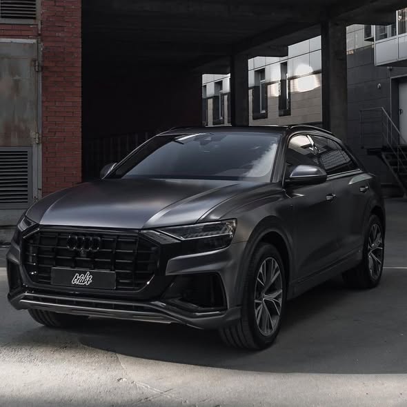 Dark Platinum (ECH21)