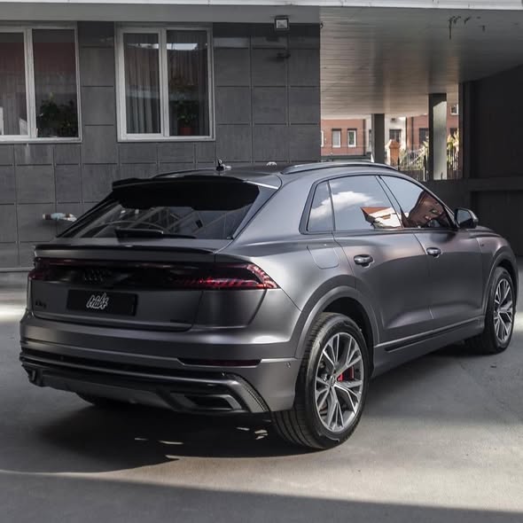 Dark Platinum (ECH21)