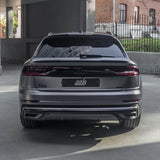 Dark Platinum (ECH21)