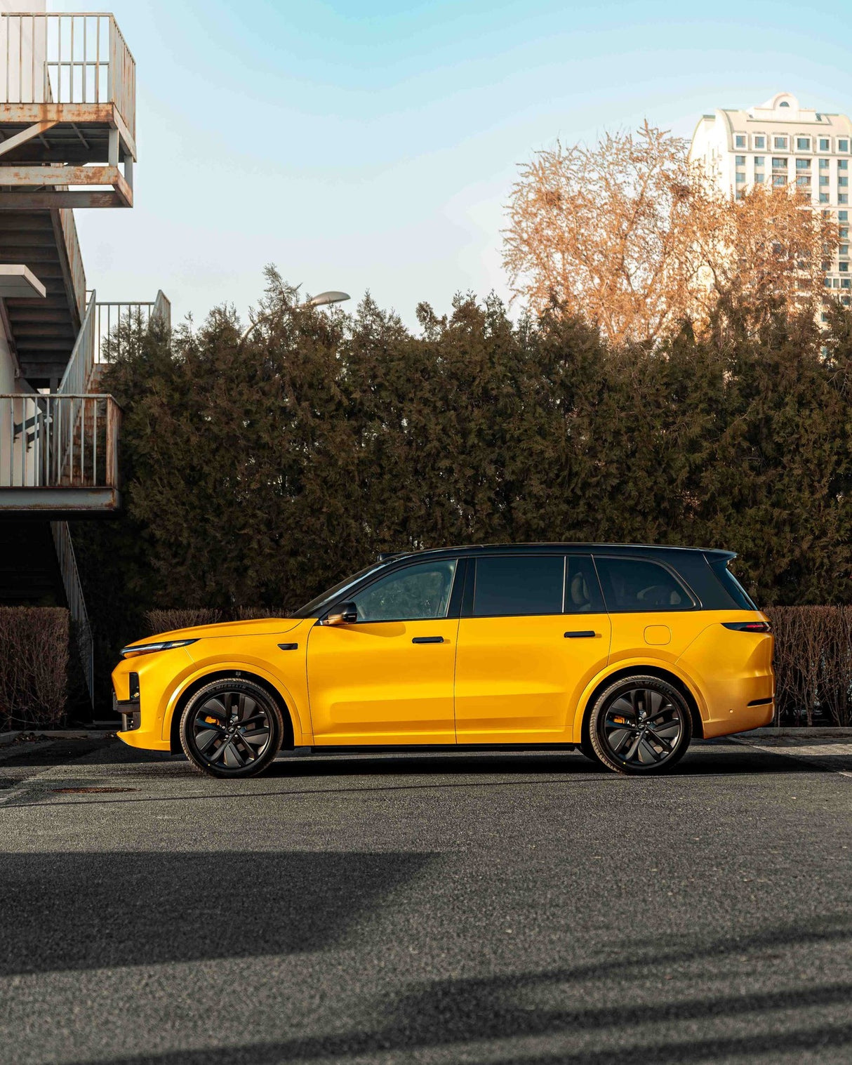 Hornet Yellow (ECH16)