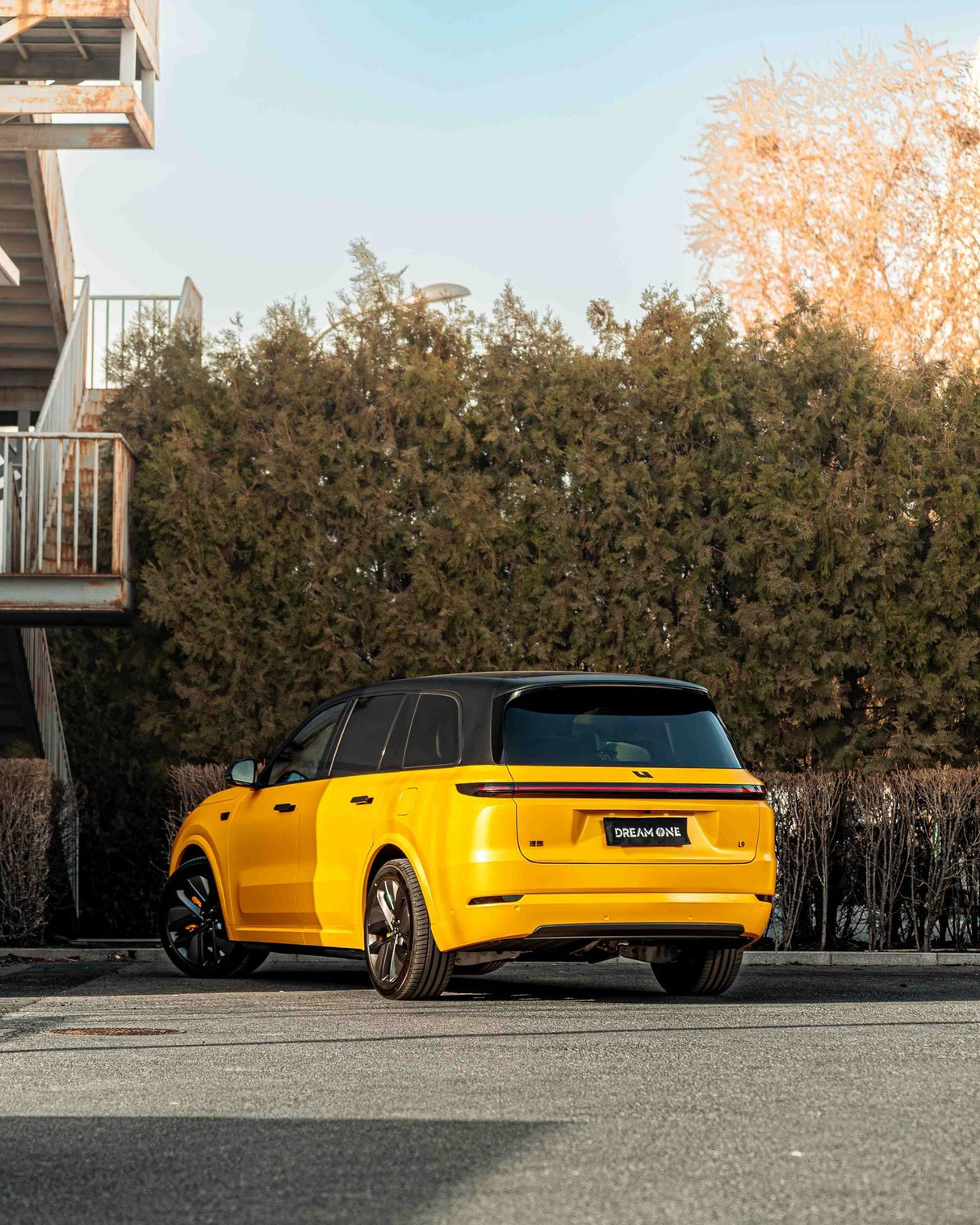 Hornet Yellow (ECH16)