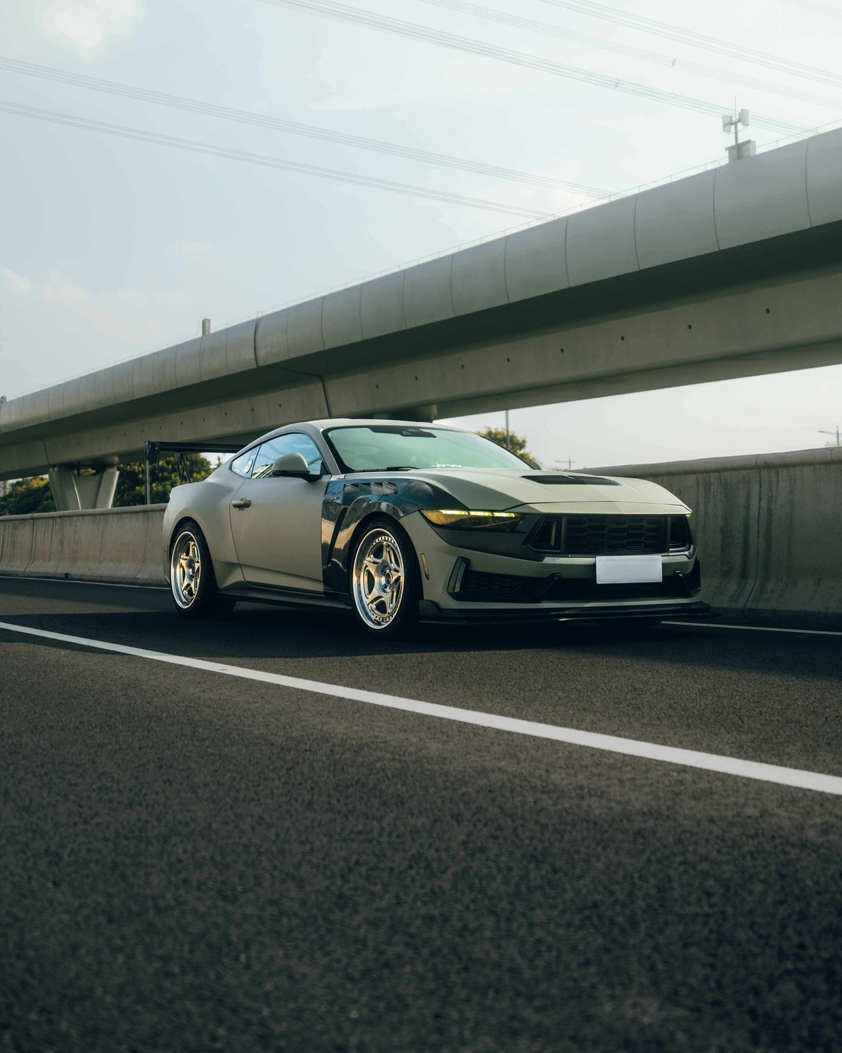 Lizard Grey (SCM23)