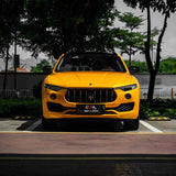 Golden Yellow (RB25-HD)